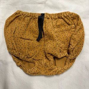 Zara - Velvet bloomer